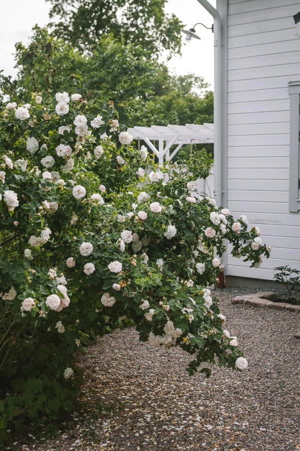 Vallby Cottage 엔최핑 외부 사진