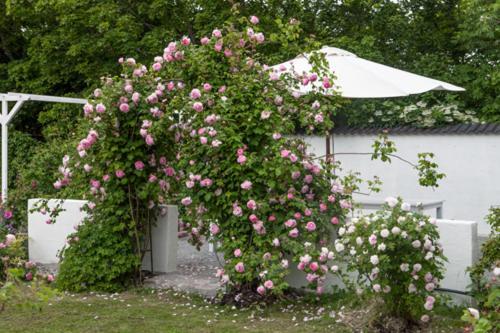Vallby Cottage 엔최핑 외부 사진