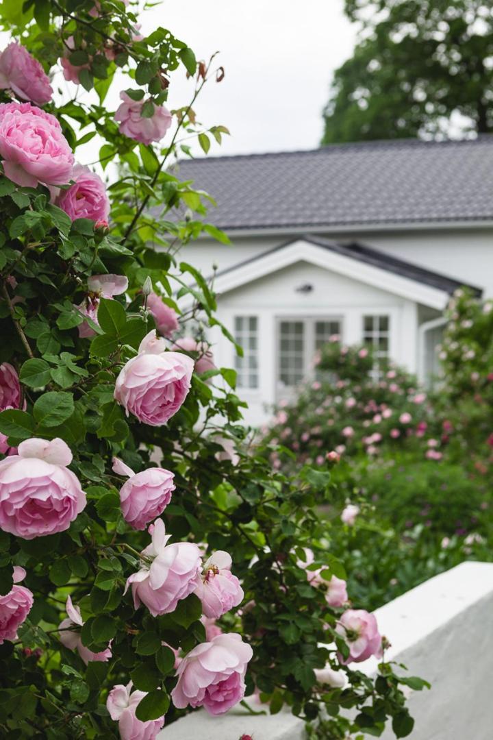 Vallby Cottage 엔최핑 외부 사진